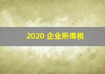 2020 企业所得税